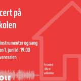 Huskoncert med blandede instrumenter og sang