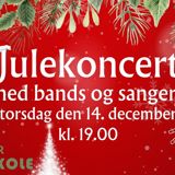 Julekoncert med bands og sangere