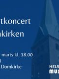 Musikskolens trompetelever spiller koncert i Helsingør Domkirke