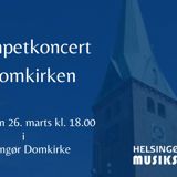 Musikskolens trompetelever spiller koncert i Helsingør Domkirke