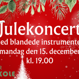Julekoncert med blandede instrumenter