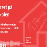 Huskoncert med blandede instrumenter